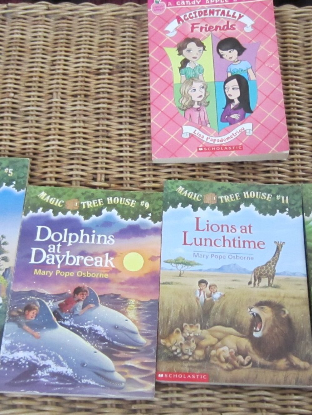 Children's Magic Tree House Books ~ Set of 4
